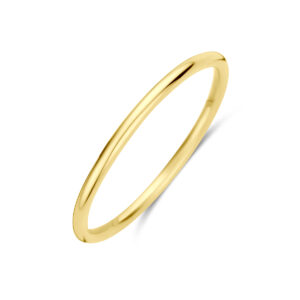 ring 14K geelgoud