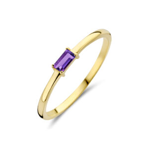 ring met geboortesteen amethist februari 14K geelgoud